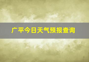 广平今日天气预报查询