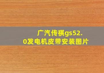 广汽传祺gs52.0发电机皮带安装图片