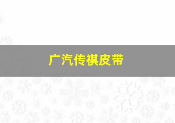 广汽传祺皮带