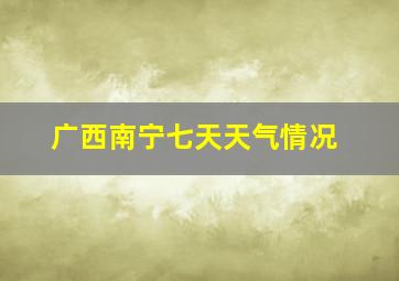 广西南宁七天天气情况