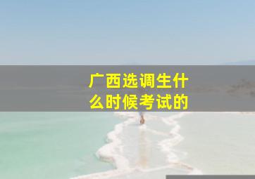 广西选调生什么时候考试的