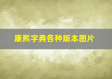 康熙字典各种版本图片