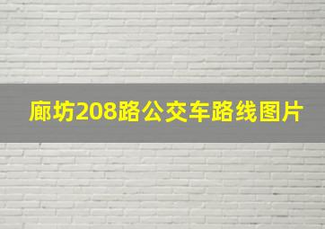 廊坊208路公交车路线图片