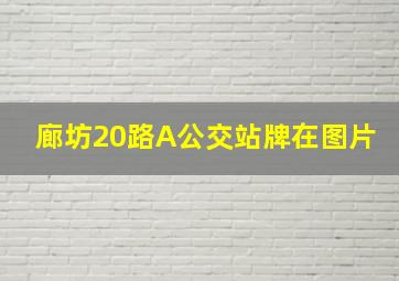 廊坊20路A公交站牌在图片