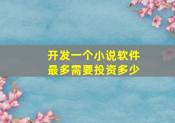 开发一个小说软件最多需要投资多少