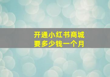 开通小红书商城要多少钱一个月