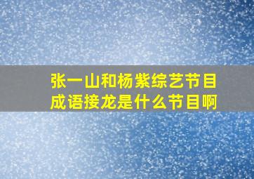 张一山和杨紫综艺节目成语接龙是什么节目啊