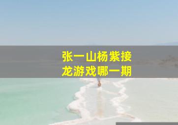 张一山杨紫接龙游戏哪一期