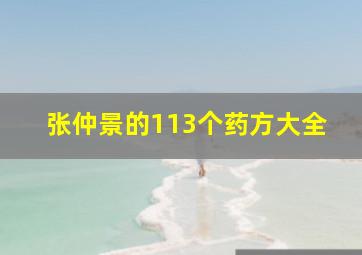 张仲景的113个药方大全