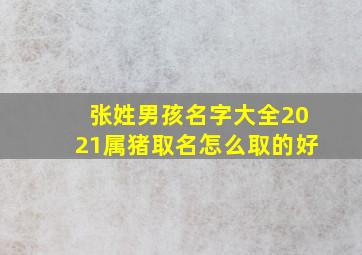 张姓男孩名字大全2021属猪取名怎么取的好