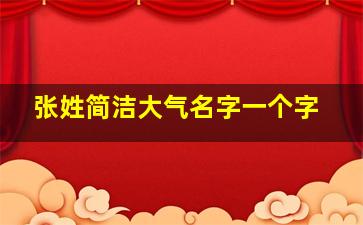 张姓简洁大气名字一个字