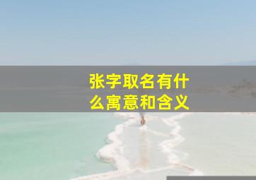 张字取名有什么寓意和含义