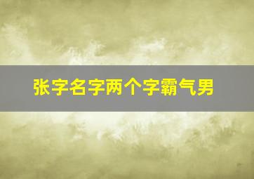 张字名字两个字霸气男