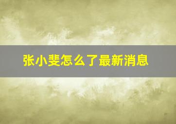 张小斐怎么了最新消息