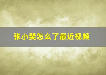 张小斐怎么了最近视频