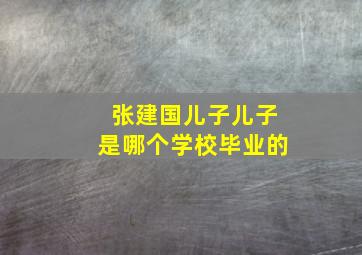 张建国儿子儿子是哪个学校毕业的