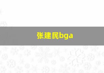 张建民bga