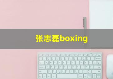 张志磊boxing