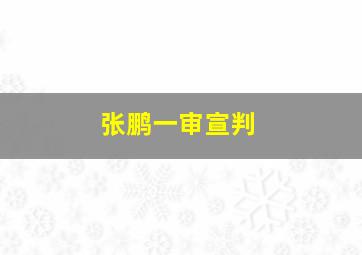 张鹏一审宣判