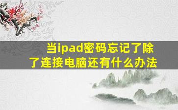 当ipad密码忘记了除了连接电脑还有什么办法