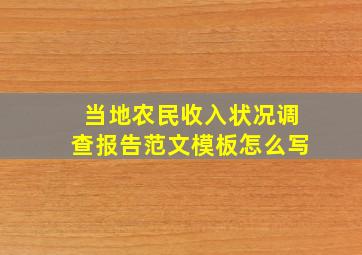 当地农民收入状况调查报告范文模板怎么写