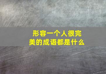 形容一个人很完美的成语都是什么