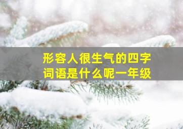 形容人很生气的四字词语是什么呢一年级