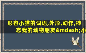 形容小猫的词语,外形,动作,神态我的动物朋友—小猫