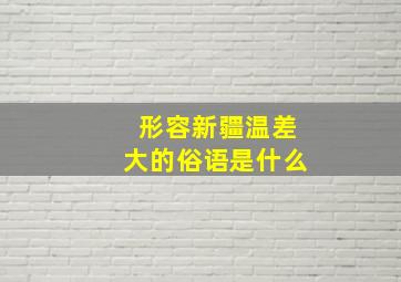 形容新疆温差大的俗语是什么