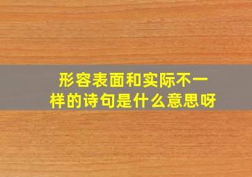 形容表面和实际不一样的诗句是什么意思呀