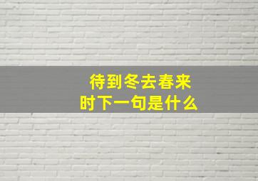 待到冬去春来时下一句是什么