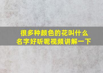 很多种颜色的花叫什么名字好听呢视频讲解一下