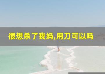 很想杀了我妈,用刀可以吗