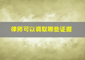 律师可以调取哪些证据