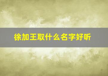 徐加王取什么名字好听