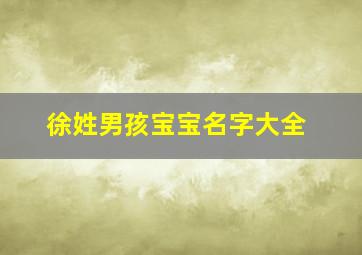 徐姓男孩宝宝名字大全