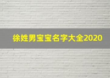 徐姓男宝宝名字大全2020