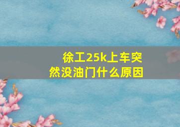 徐工25k上车突然没油门什么原因