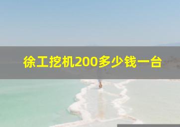 徐工挖机200多少钱一台