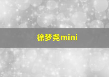 徐梦尧mini