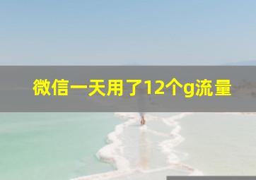 微信一天用了12个g流量