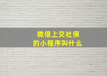 微信上交社保的小程序叫什么