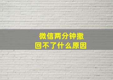 微信两分钟撤回不了什么原因