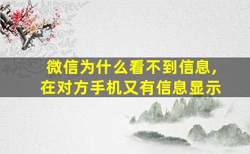 微信为什么看不到信息,在对方手机又有信息显示