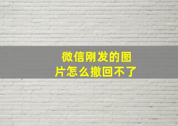 微信刚发的图片怎么撤回不了