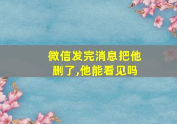 微信发完消息把他删了,他能看见吗