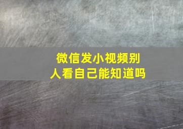 微信发小视频别人看自己能知道吗