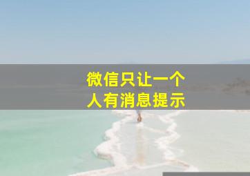 微信只让一个人有消息提示