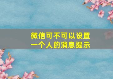 微信可不可以设置一个人的消息提示