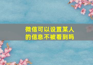 微信可以设置某人的信息不被看到吗